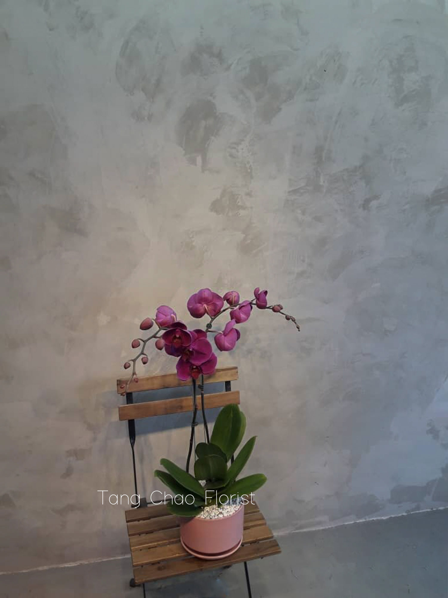0101-3